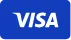Visa Icon